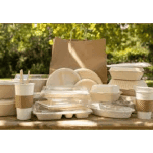 Bagasse